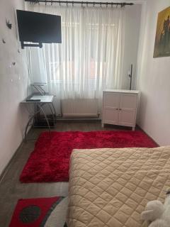 Ingrid home 3 camere - Vatra Dornei - 3