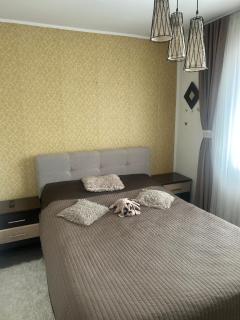 Ingrid home 3 camere - Vatra Dornei - 5
