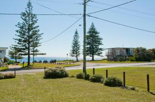 THEP113 - The Penguins Head - Culburra Beach - 6