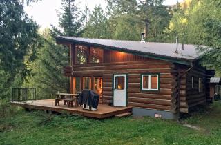 Cabin 97 - pinecone Log Cabin at the Lake that is Pet-friendly - Maple Falls - 0