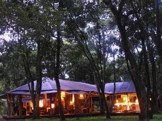 Tor's Camp - Masai Mara - 0