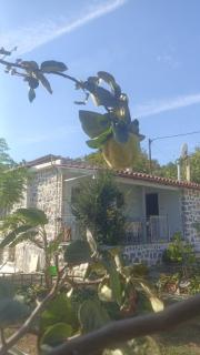 Παραδοσιακή Κατοικία - 0