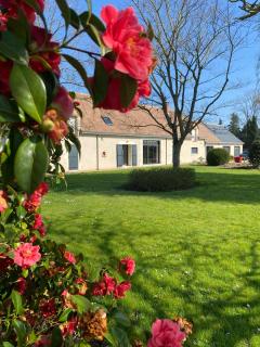 Au Ginkgo - Chaumont-sur-Loire - 9