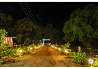 Dandeli Hill View Jungle Stay - - 2