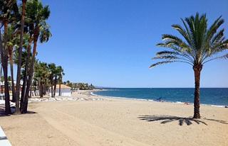 La Estrella del Norte - Marbella - 7