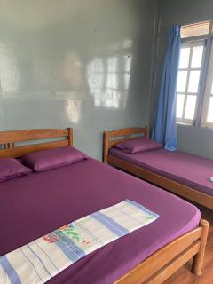 Beach Chalet - Fauna Teluk Dalam - - 2