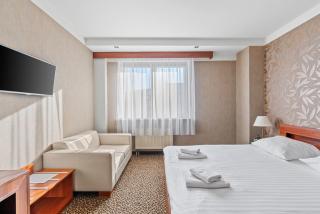 Hotel Diament Vacanza Katowice - Siemianowice - Siemianowice Śląskie - 7