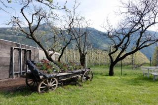 Wiesenblick - Ciardes - 5