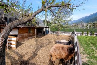 Wiesenblick - Ciardes - 4