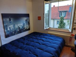 Stylish Flat 10 Minutes to Basel City Center - ESC - Binningen - 3