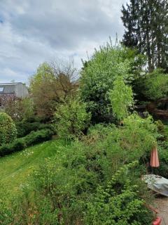 Stylish Flat 10 Minutes to Basel City Center - ESC - Binningen - 6