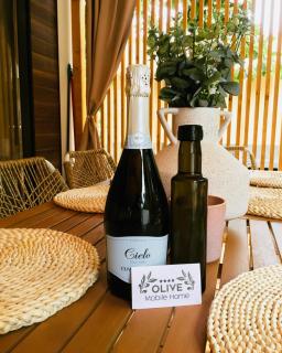 Olive Mobile Home - Biograd na Moru - 4