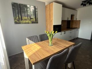 Apartament Pod Leśnym Niebem - 4