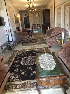 شقه فندقيه الترا سوبر لوكس بالاسكندريه - 5