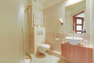 Hotel Diament Vacanza Katowice - Siemianowice - 1