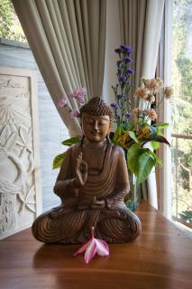 Yoga Retreat 9 BR Villa By River Song - 7