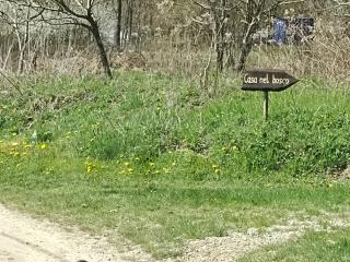 Casa nel bosco - Bossolasco - 8