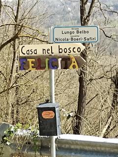 Casa nel bosco - Bossolasco - 9
