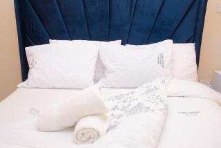 Cutie homes - blueberry - 0