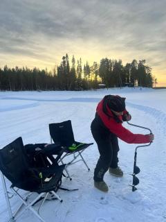 Blue Moment at the Arctic Circle- Forest, beach, activities - 1