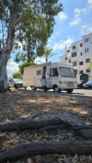 Caravana GG - Los Cristianos - 3