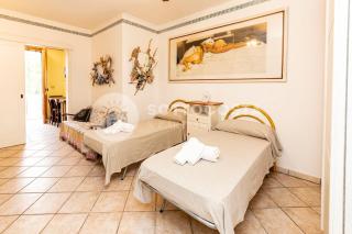 Conchiglia d'Oro - 6