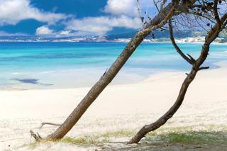 Apulia Suite by Amarena Collection - 2