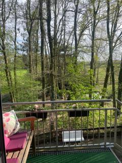 Fewo Waldblick im Naturpark & Wanderreitstation Meinweg - Wegberg - 4