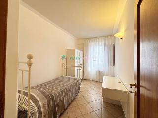 Palme - San Vincenzo - 1