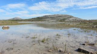 Inchiquin House, period home in the heart of the Burren - 8