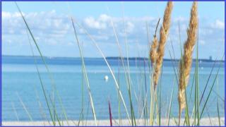 Bonna's Ostsee Oase - Haus Baltic - Whg 180 - inkl Saisonstrandkorb - Grömitz - 7