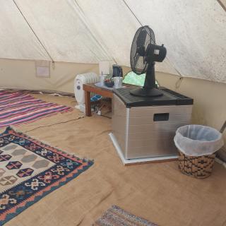 Bell Tent in the Wood - 5