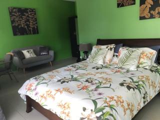 Villa helene dans cocoteraie - Amphoe Koksamui - 1