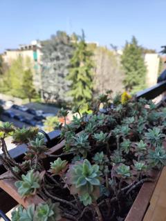 Urban Retreat, Eleganza e Comfort a Milano - Mailand - 9