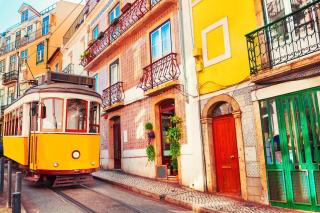 Serene 2-bedroom flat with garden view in Benfica - Lissabon - 9