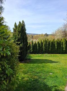 Auszeit im Jugendstil - 1