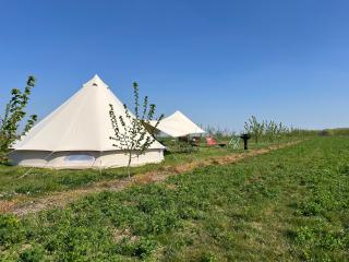 Glamping Verger de la Marsale - Hannut - 8