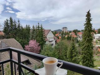 Apartman Planina Zlatibor - Zlatibor - 6