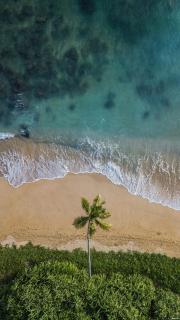 Linesa holiday villa - 2