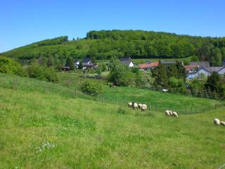 Ferienhof An der Lay - Kerpen - 6