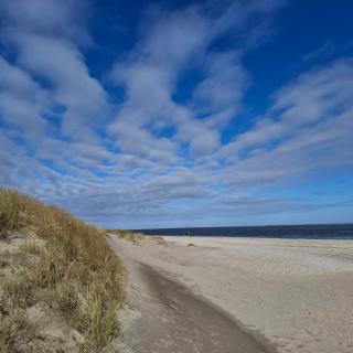 Private Logies Texel Woodart - Midden-Eierland - 5