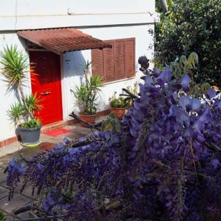 Giallo Limone B&B - Salerno - 8