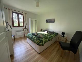 Lilas - Spacieuse maison 10 pers Jardin BBQ - Doumen - 4