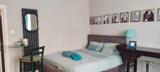 Central London Studio with Jacuzzi bath, ground floor, excellent transport connections - Londra - 6
