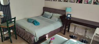 Central London Studio with Jacuzzi bath, ground floor, excellent transport connections - Londra - 2
