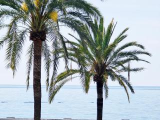 AA Guest - La Marina Sea Views Eco Apartment - 9