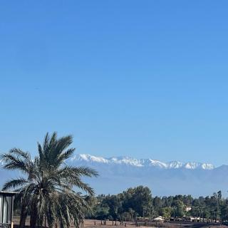 Ben House Palmeraie - 6