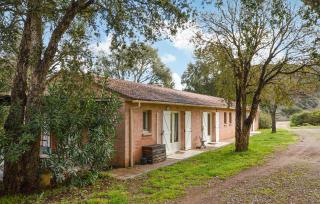 1 Bedroom Nice Home In Vignale - Vignale - 0