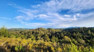 Melody Hills - Sedgefield - 1