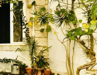 Quiet and Charming Home - with Yard, City Center - Lisbona - 3